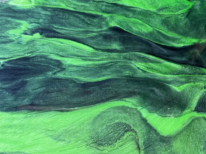 Green metallic epoxy floor with hand worked veins in San Jose, CA